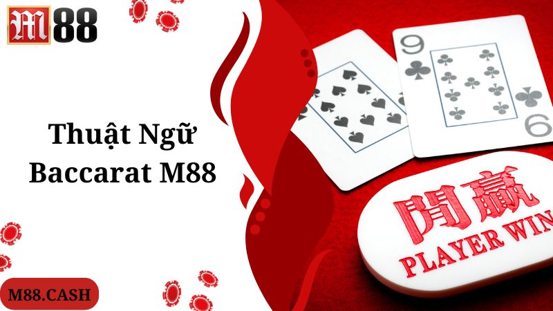 Thuật ngữ người chơi cần biết khi khám phá cùng M88 Baccarat